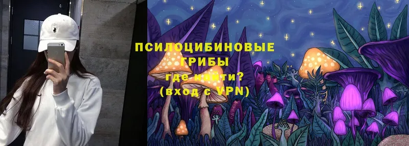 Псилоцибиновые грибы Magic Shrooms  Рассказово 